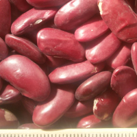 pu-beans-red2 pu-beans-red2