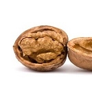 fo-walnut2 fo-walnut2