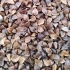 thumb_ce-buckwheat3 thumb_ce-buckwheat3