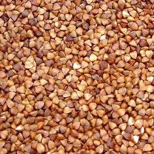 ce-buckwheat2 ce-buckwheat2