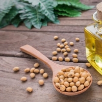 ve-soybean-oil ve-soybean-oil
