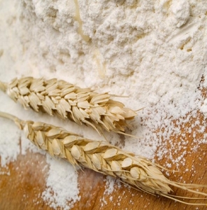 fo-flour-wheat2 fo-flour-wheat2