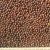 thumb_oi-mustardseeds-black2 thumb_oi-mustardseeds-black2