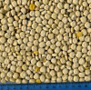 thumb_pu-lupin2 thumb_pu-lupin2