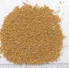 thumb_oi-mseeds-yellow2 thumb_oi-mseeds-yellow2