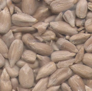 fo-sfs-kernels-confectionary2 fo-sfs-kernels-confectionary2
