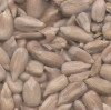 thumb_fo-sfs-kernels-confectionary2 thumb_fo-sfs-kernels-confectionary2