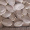 thumb_oi-pumpkin-grey-volga2 thumb_oi-pumpkin-grey-volga2