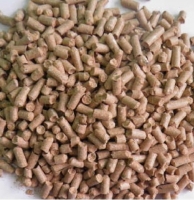 fe-bran-wp fe-bran-wp