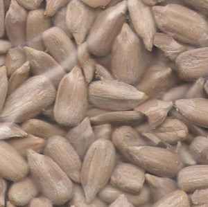 fo-sfs-kernels-bakery2 fo-sfs-kernels-bakery2