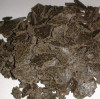 thumb_fe-rseed-cake thumb_fe-rseed-cake