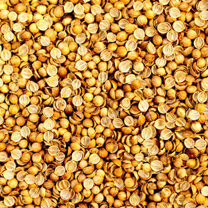 fo-coriander-split fo-coriander-split