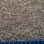 thumb_fo-coriander-m thumb_fo-coriander-m