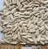 thumb_oi-sunflower-white thumb_oi-sunflower-white