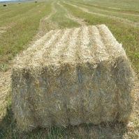 fe-alfalfa-pack2 fe-alfalfa-pack2