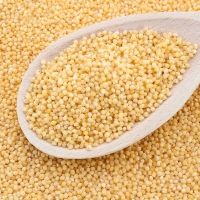 fo-millet-hulled-organic fo-millet-hulled-organic