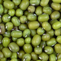 pu-GMB-ua pu-GMB-ua