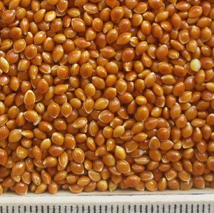 ce-millet-red2 ce-millet-red2