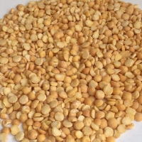 pu-peas-yellow-split pu-peas-yellow-split