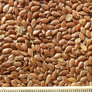 oi-flax-oil-brown2 oi-flax-oil-brown2