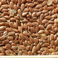 oi-flax-oil-brown2 oi-flax-oil-brown2