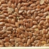 thumb_oi-flax-oil-brown2 thumb_oi-flax-oil-brown2