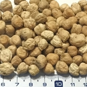 pu-cpeas-kabuli-8-arg2 pu-cpeas-kabuli-8-arg2