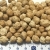 thumb_pu-cpeas-kabuli-8-arg2 thumb_pu-cpeas-kabuli-8-arg2
