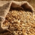 thumb_ce-barley2 thumb_ce-barley2