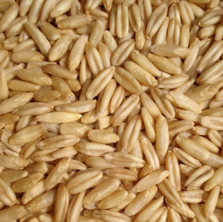 ce-oats-huled ce-oats-huled
