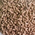 thumb_fe-bran-wp thumb_fe-bran-wp