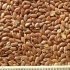 thumb_oi-flax-oil-brown2 thumb_oi-flax-oil-brown2