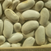 thumb_pu-kidney-beans-white2 thumb_pu-kidney-beans-white2