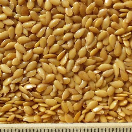 oi-flax-oil-gold2 oi-flax-oil-gold2