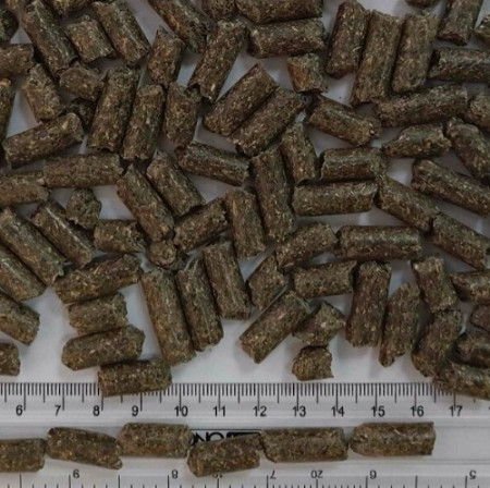 fe-sunmeal-p2 fe-sunmeal-p2