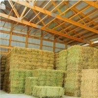 fe-alfalfa-pack fe-alfalfa-pack